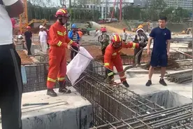工地闯进“不速之客”！图片