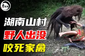 湖南张家界“野人”出没，鸡鸭死状凄惨，村民上山抓捕后傻眼图片