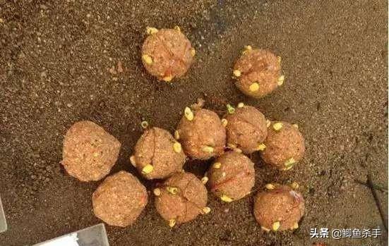 草鱼最爱吃的饵料不在渔具店，而在自己家！这三样东西混合就行