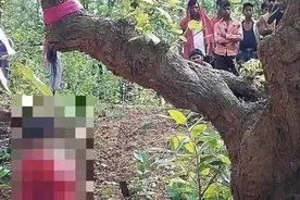 莫迪盟友16岁女儿被多人侵犯，过程中右眼被挖，死后被吊树上图片