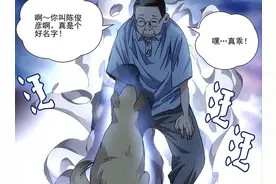 临时工个个都不是省油的灯，尤其老孟，扮猪吃老虎的一把好手图片