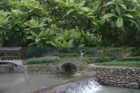 对今后农村发展的两点思考图片