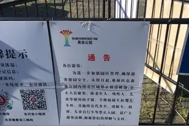 滑板车和轮滑被拒之门外，孩子逛公园照样玩得嗨图片