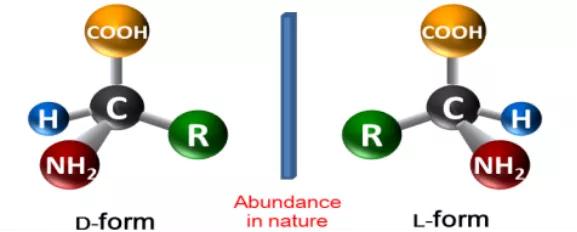 商家鼓吹的鱼蛋白肥料到底是个啥？