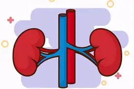 养肾就是养命，照着这个食谱吃，你的肾脏会感谢你图片