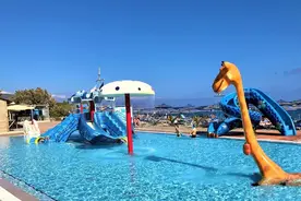 夏季游泳 耳道防护要做好图片