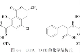 动物源性食品中霉菌毒素的检测——赭曲霉毒素图片