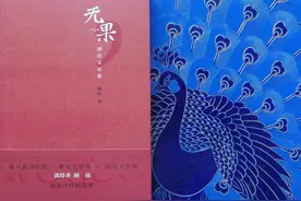 诗话遂宁｜胡亮的献诗图片