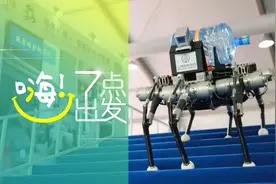 民政部、全国妇联：探索开发婚前辅导课程、强化结婚颁证仪式感 | 嗨！七点出发图片