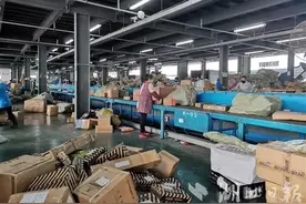 你你你，在等快递吗？就快到了图片