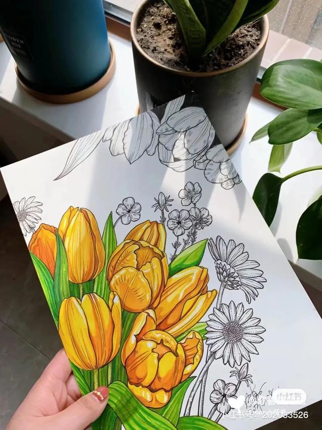 20张创意彩色线描作品,2022年全新素材资料(美术有哪些线条图片大全)