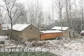 实拍河南农村老家下雪了，小伙儿带你看下雪的小村庄，有啥变化？视频封面