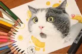 彩铅步骤图 | 画一只圆溜溜大眼睛的喵~猫咪真是太治愈了图片