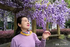 【慢城市·品读】 我爱人间四月天图片