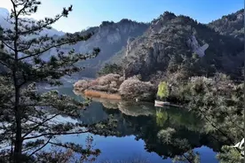 看，花花世界图片
