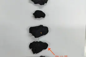 六味地黄丸组方中药饮片辨认图片