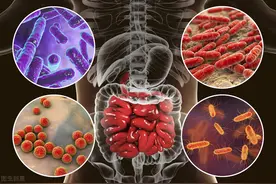肠活常年轻！益生菌对肠道健康的重要性你必须了解图片