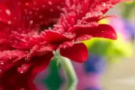 心理学：相互喜欢的两个人，其实是有心灵感应的图片