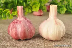 “装蒜”英语怎么说？学会日常表达，你再装图片