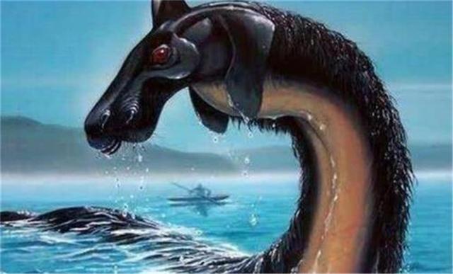 四川雅女湖5次出现水怪,背像鳄鱼身似蟒蛇,真相:上百条鲶鱼群