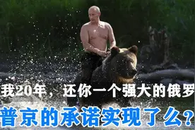 给我20年，还你一个强大的俄罗斯？图片