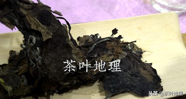 了解这些细节，人人都能泡好白茶！