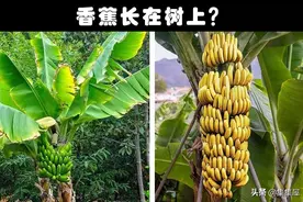 很多人从小就在盲目相信着的8种错误常识图片