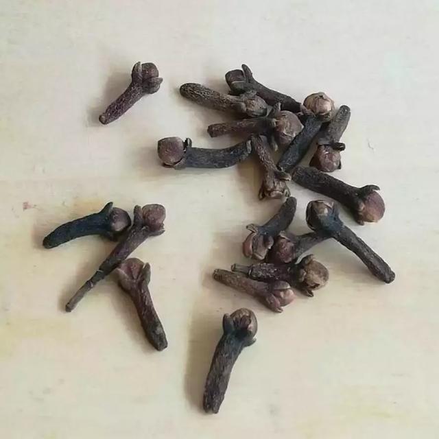 oregano是什么调料