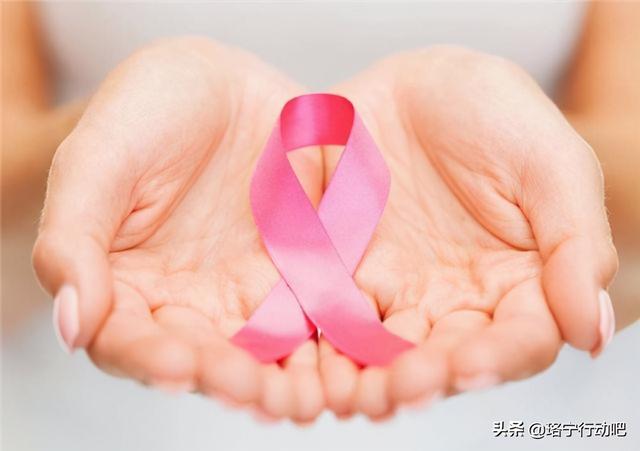 花胶鹿茸还有什么可以减肥 2026年花胶鹿茸的功效与作用