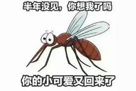 晚上睡觉耳边嗡嗡响？只需一个简单的办法，蚊子5分钟全部跑光光图片