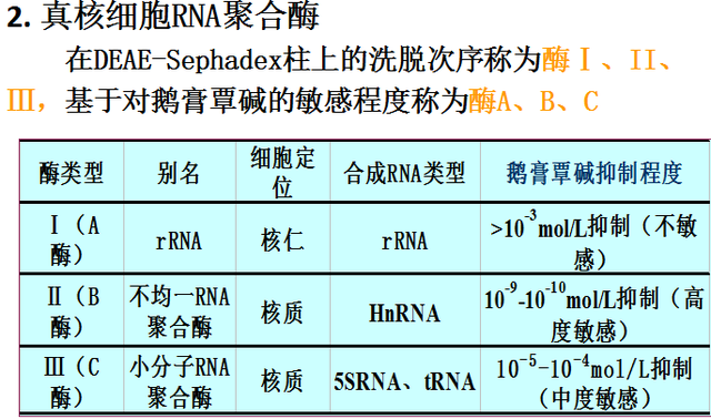 高中生物化学复习提纲，必考榜。’