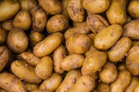 全国哪的土豆最好吃？经过评选，这6个地方比较出名，有你家乡吗图片