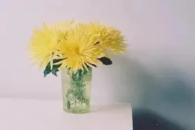 什么是非虚构写作？如何创作非虚构故事？（复盘笔记五）图片