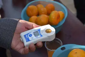 柑橘太酸不甜，7月份果树施什么肥？有助于柑橘降酸增甜呢？图片