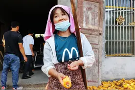 央视曝光的三无小麦种子，横行农村多年，为啥屡禁不止？图片