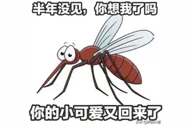 蚊子是怎么走上吸血鬼这条路的图片