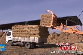 「走向我们的小康生活」村里建起草帘厂 废弃稻草变成宝图片