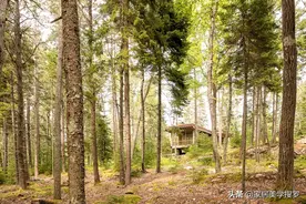 深山老林里的小型房屋，亲近自然的隐居生活空间图片