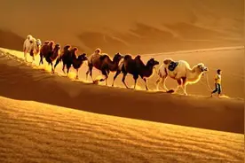 人生落魄时，不要去打扰任何人图片