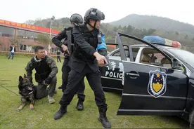 高中家长注意啦！三位一体经验：浙江警察学院！备考攻略都在这里图片