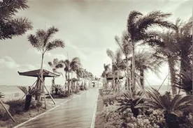 精装不限购，总价20多万元，来燕赵都市报抢品牌房企一线海景房图片