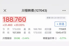 新债中签全攻略，打不了新股，一年也能赚30%图片