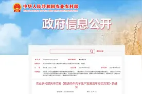 这个《方案》重磅而出，肉牛肉羊养殖户的福利来了图片