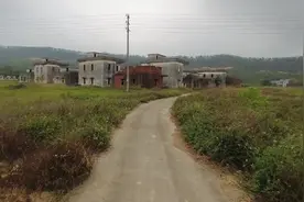 广东开平被废弃的村落，成片"别墅"无人住，杂草丛生好荒凉图片