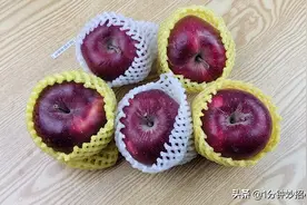 洗碗池放一个水果网套，作用太棒了，学学不吃亏，一年省下好几百图片