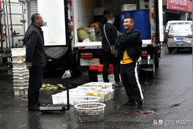 青岛封海一个月，黄岛新区早市上大海螺15块钱一斤，价格稳中有降图片