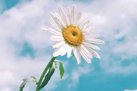 ​如果你最近总觉得不顺心，恭喜你，你可能要转运了图片