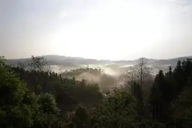 吾味奇山——普洱茶微小产区图片