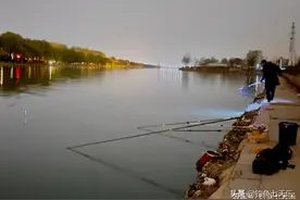 石家庄钓友钓获一条大鲶鱼，拉上来后满脸疑惑：鱼尾巴不见了图片