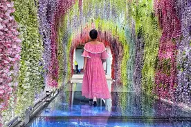五一去东莞常平赏花游湖，走广东最长的3D特效玻璃桥图片
